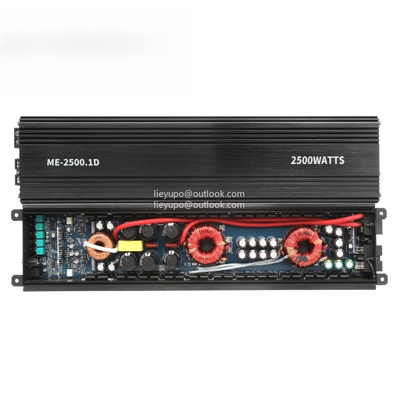 2500W RMS Mono Car Amplifier,  - Car Amplifier Class D 1 Ohm Stable 评论和价格