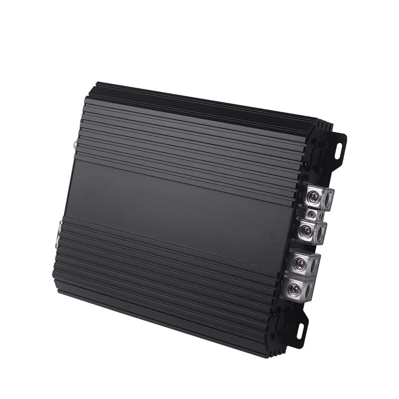 5000W Mono Class D Car Amplifi - Car Amplifier Class D 1 Ohm Stable 评论和价格