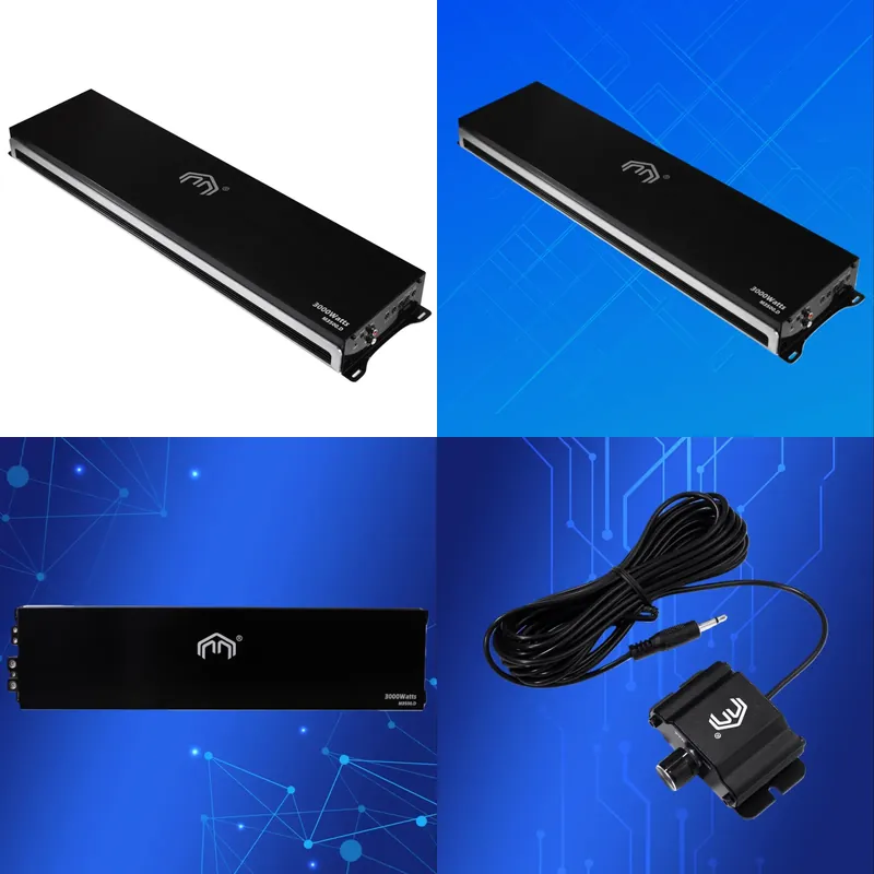 for 1 Channel Class D Car Audi - Car Amplifier Class D 1 Ohm Stable 评论和价格